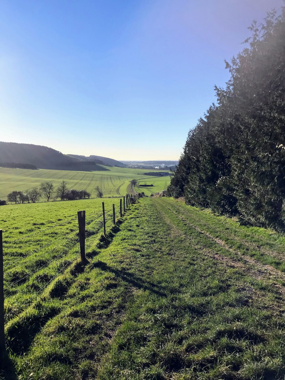 un champ clôturé avec une clôture et des arbres et des collines en arrière-plan