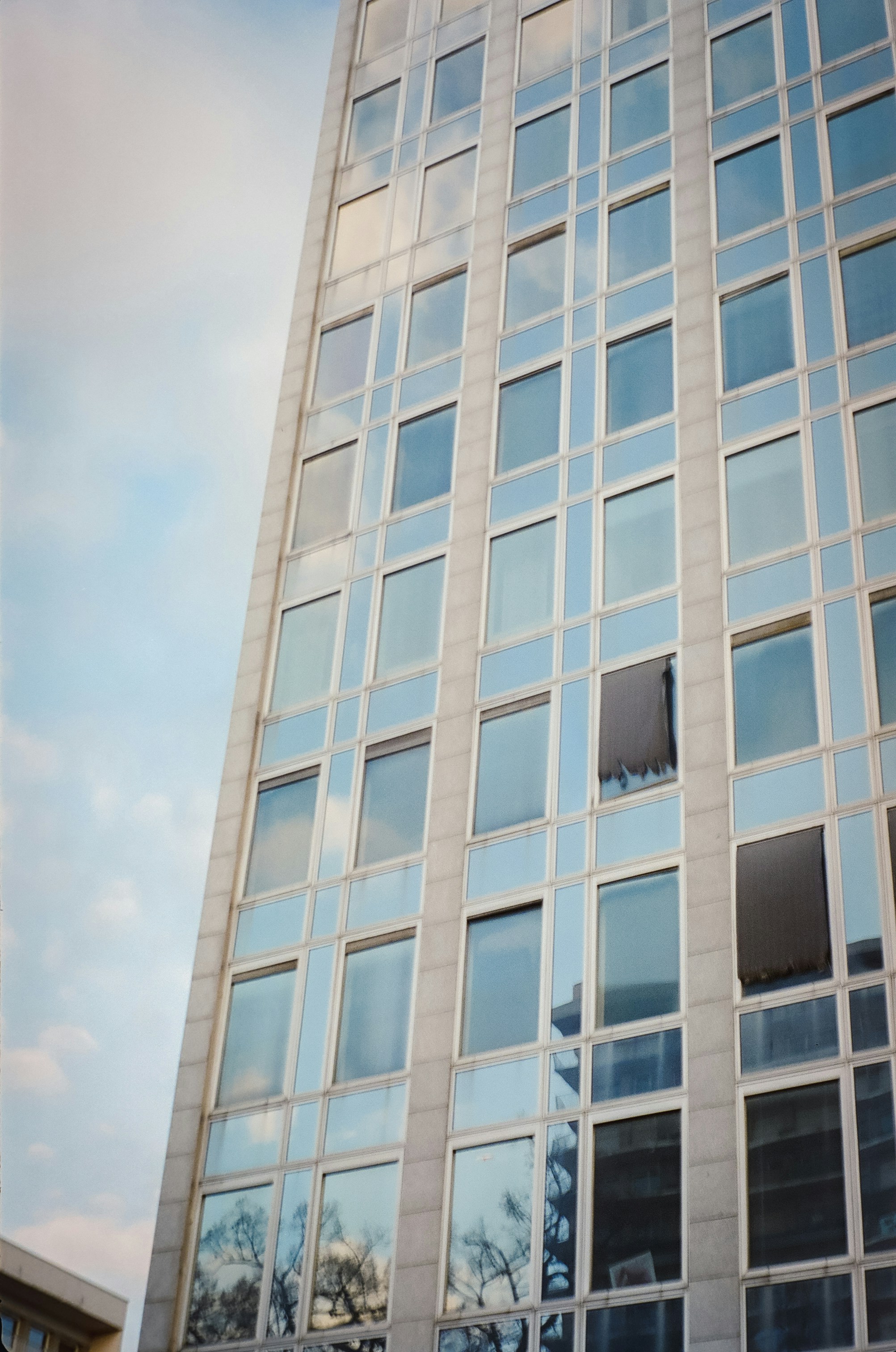 Photo by gerrit_froe