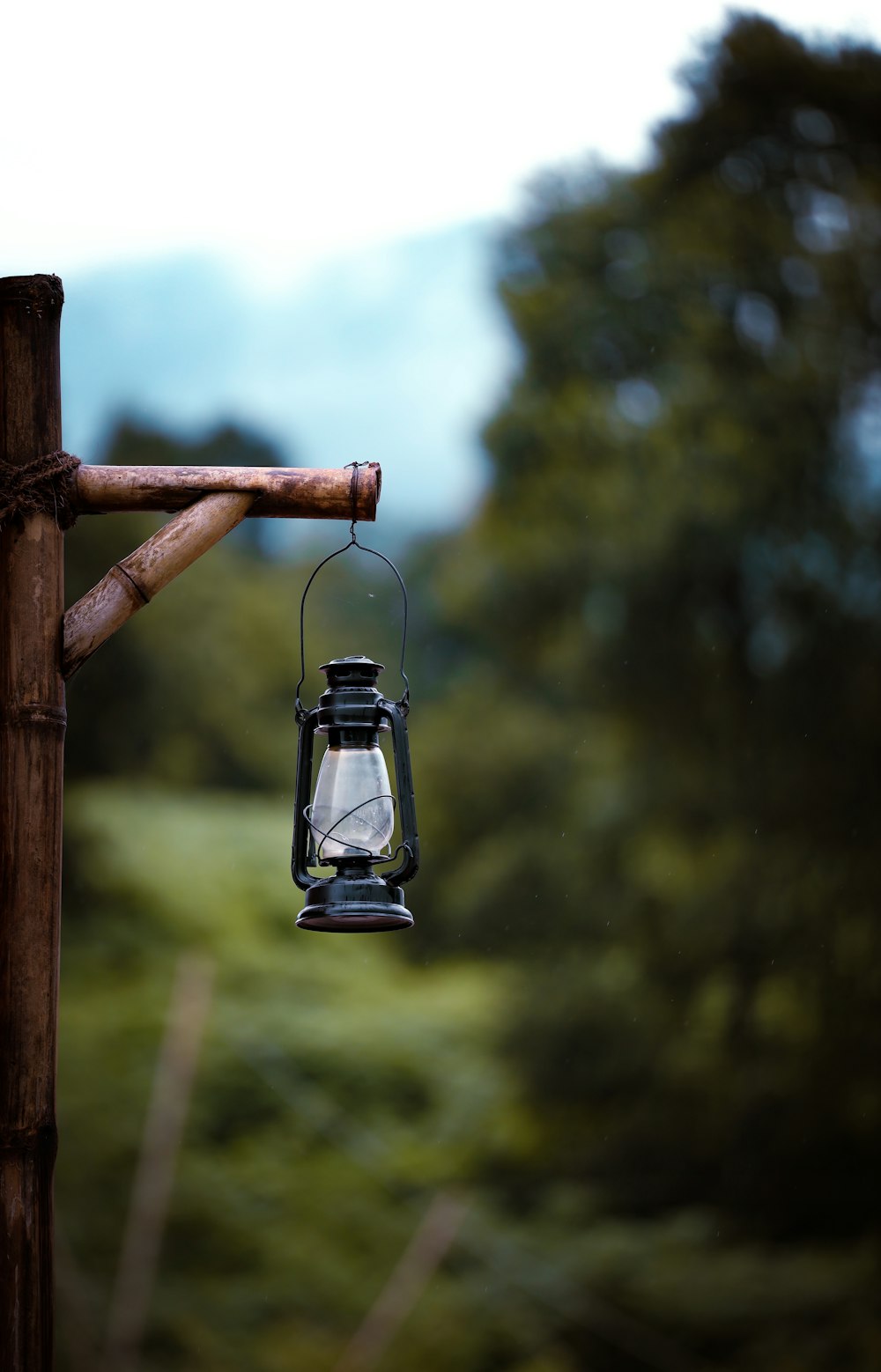 a bird feeder from a fence