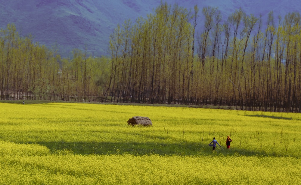 a couple people walking in a field