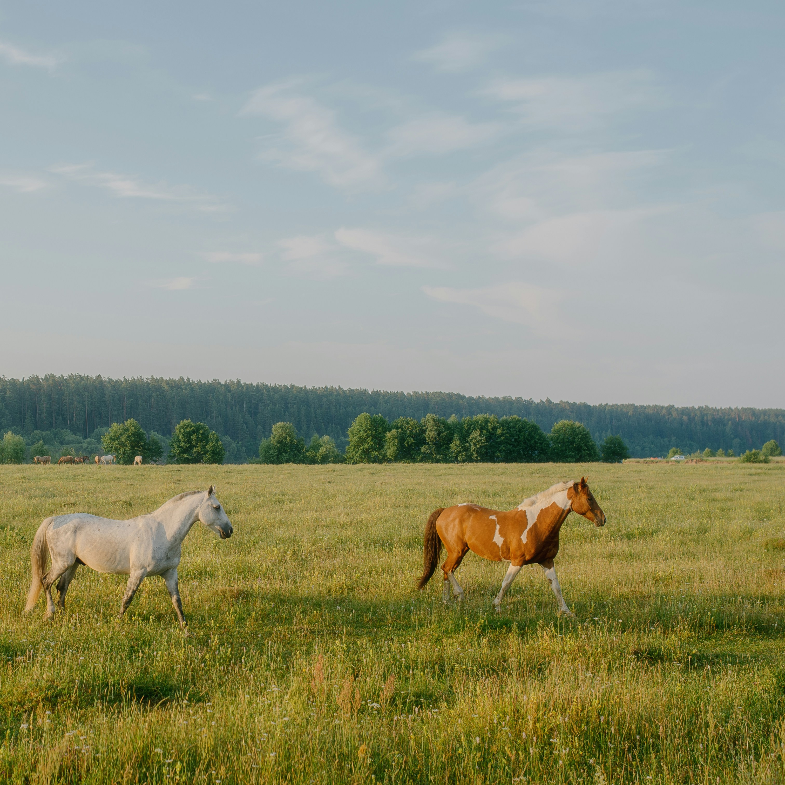 Photo by evil_bumblebee