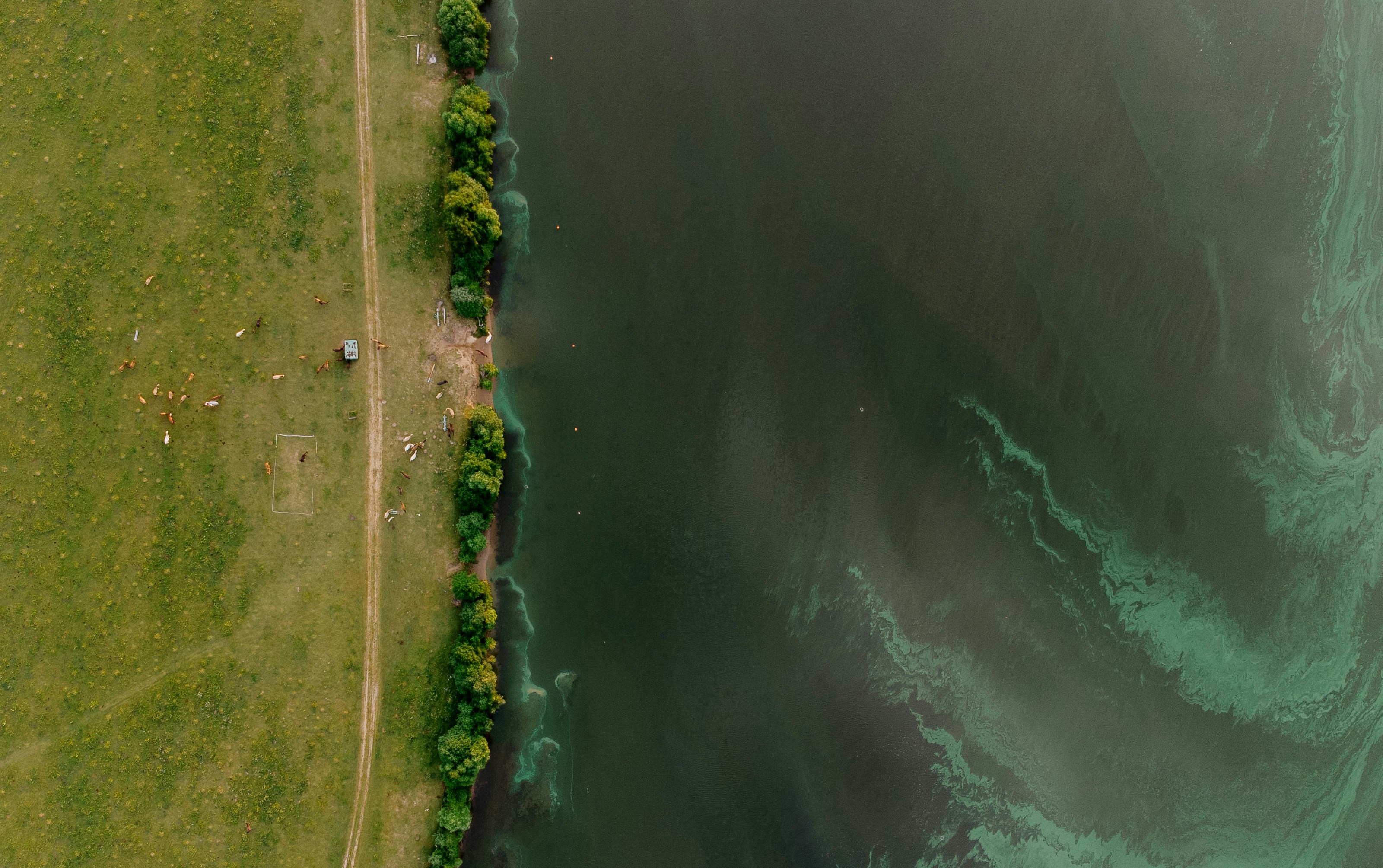 Photo by evil_bumblebee