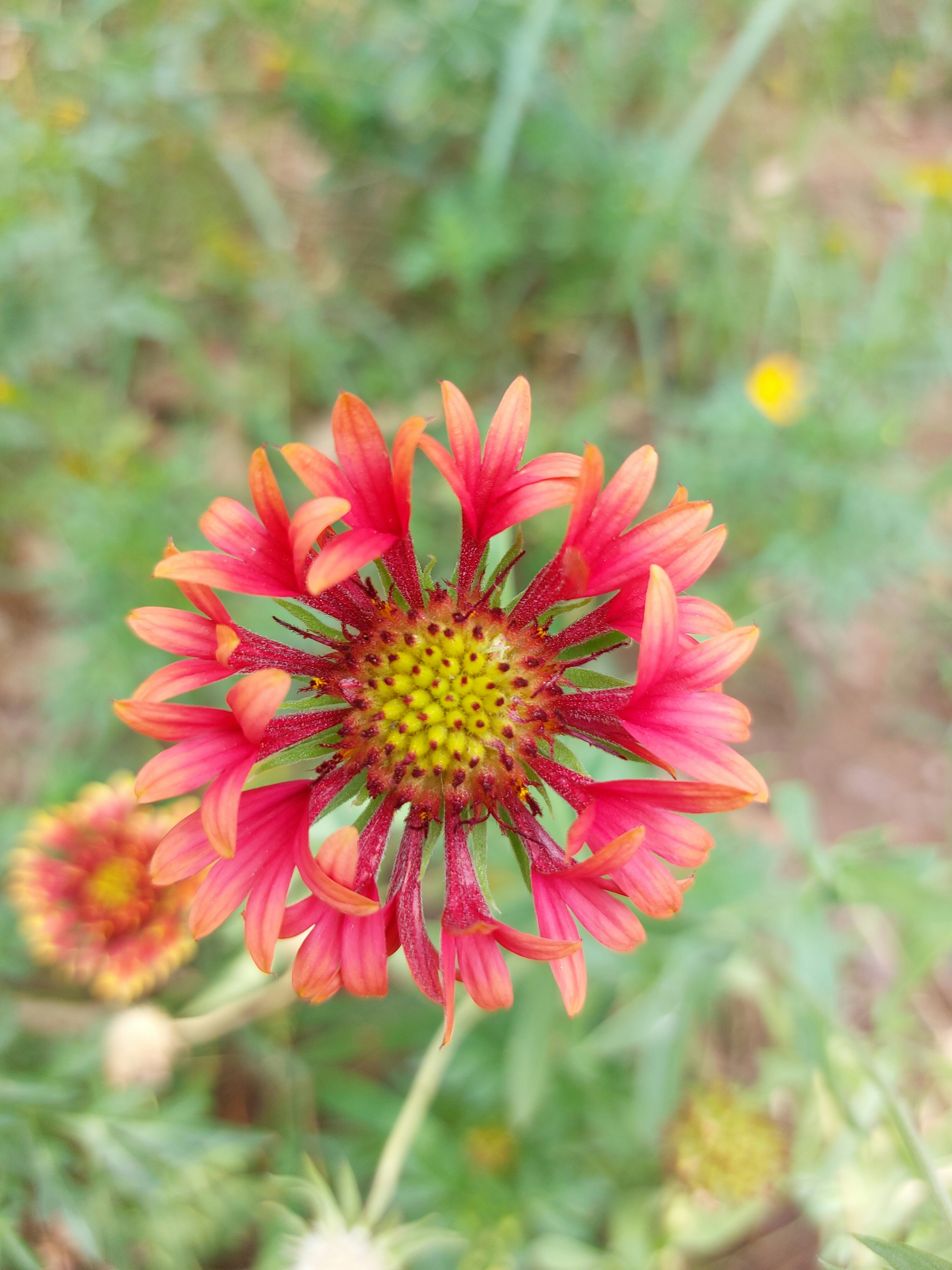 Photo by salmanrafiq