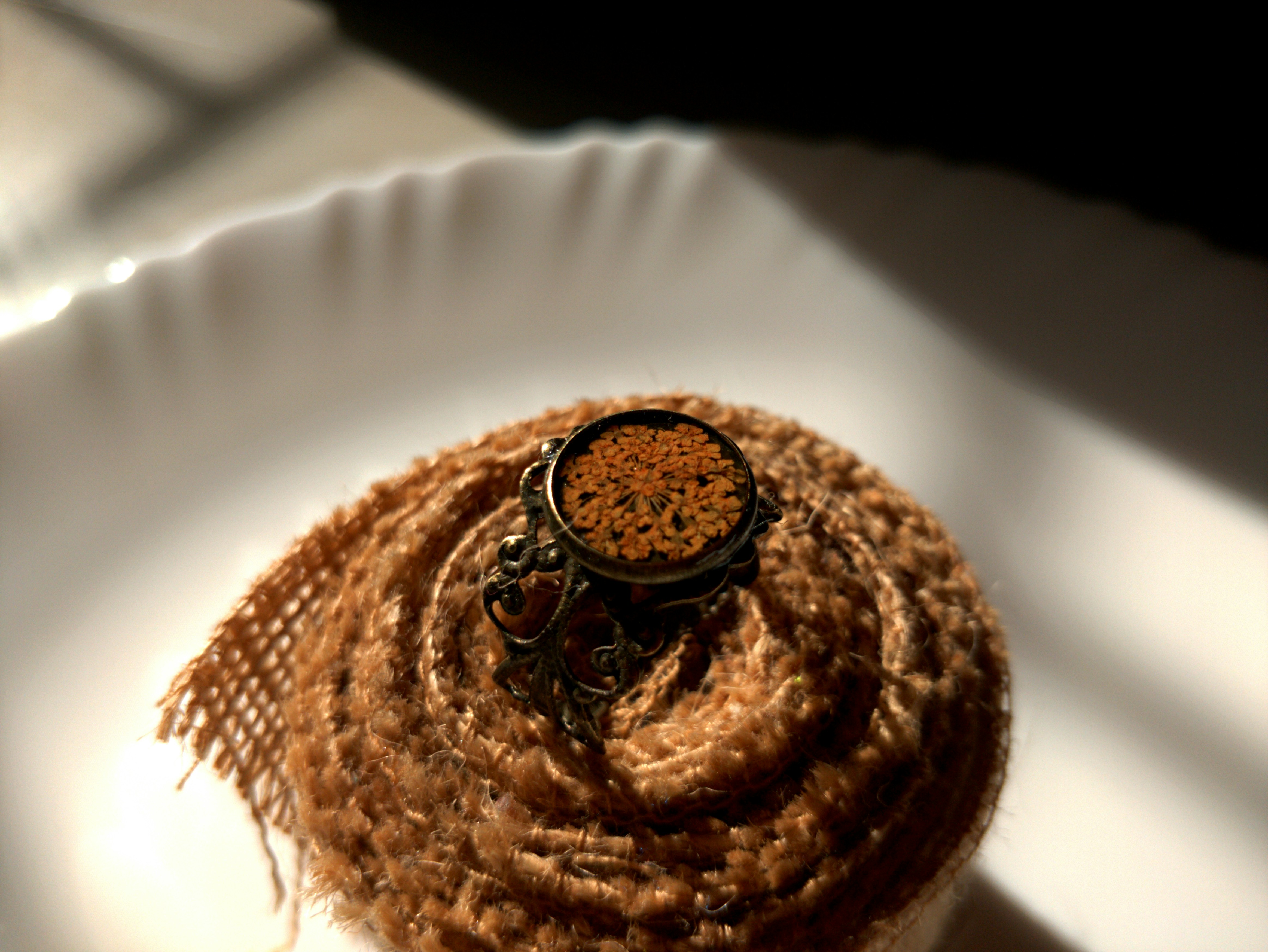 a brown snake with a black eye