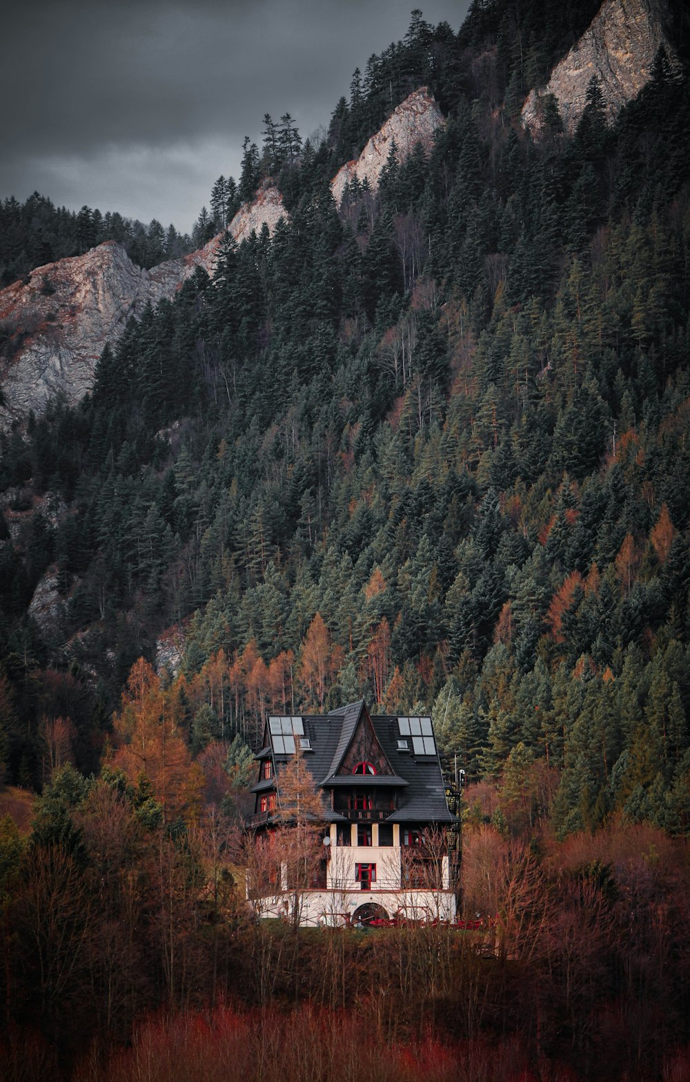 a house in the middle of a forest