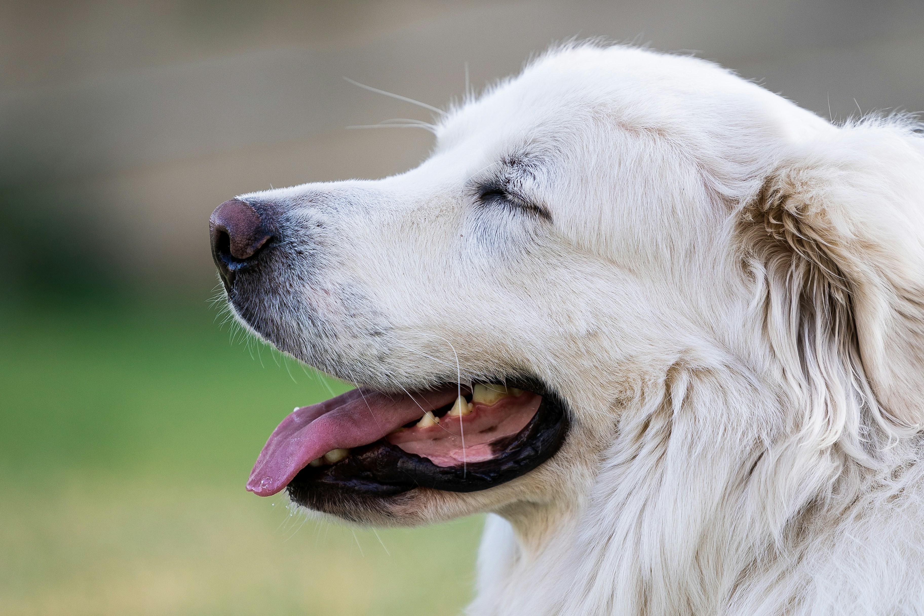 Photo by joseph_recca