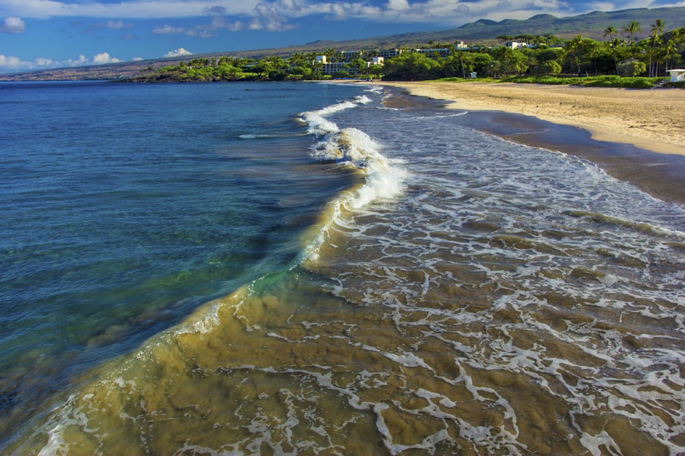 a beach with a body of water