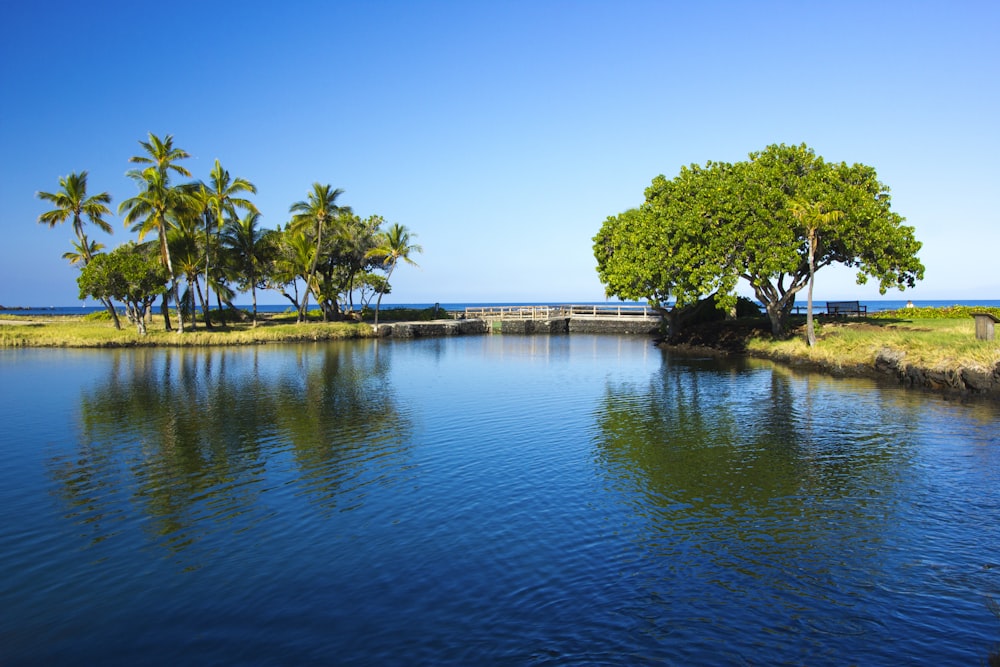 a body of water with trees and a bridge in the background