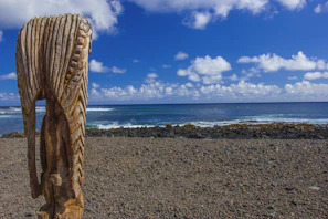 A wooden sculpture embodying driftwood textures resting on a rocky beach