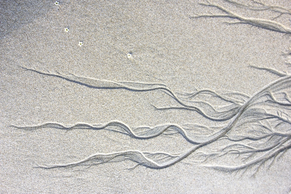 a close-up of a beach