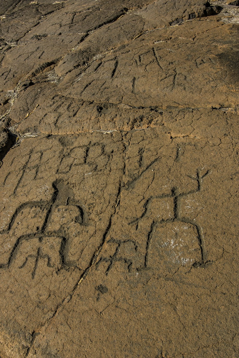 a close-up of a cracked surface