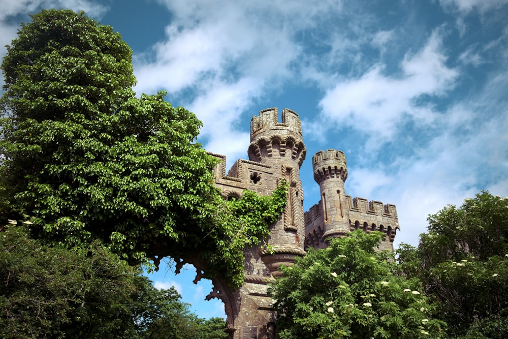 a castle with trees around it