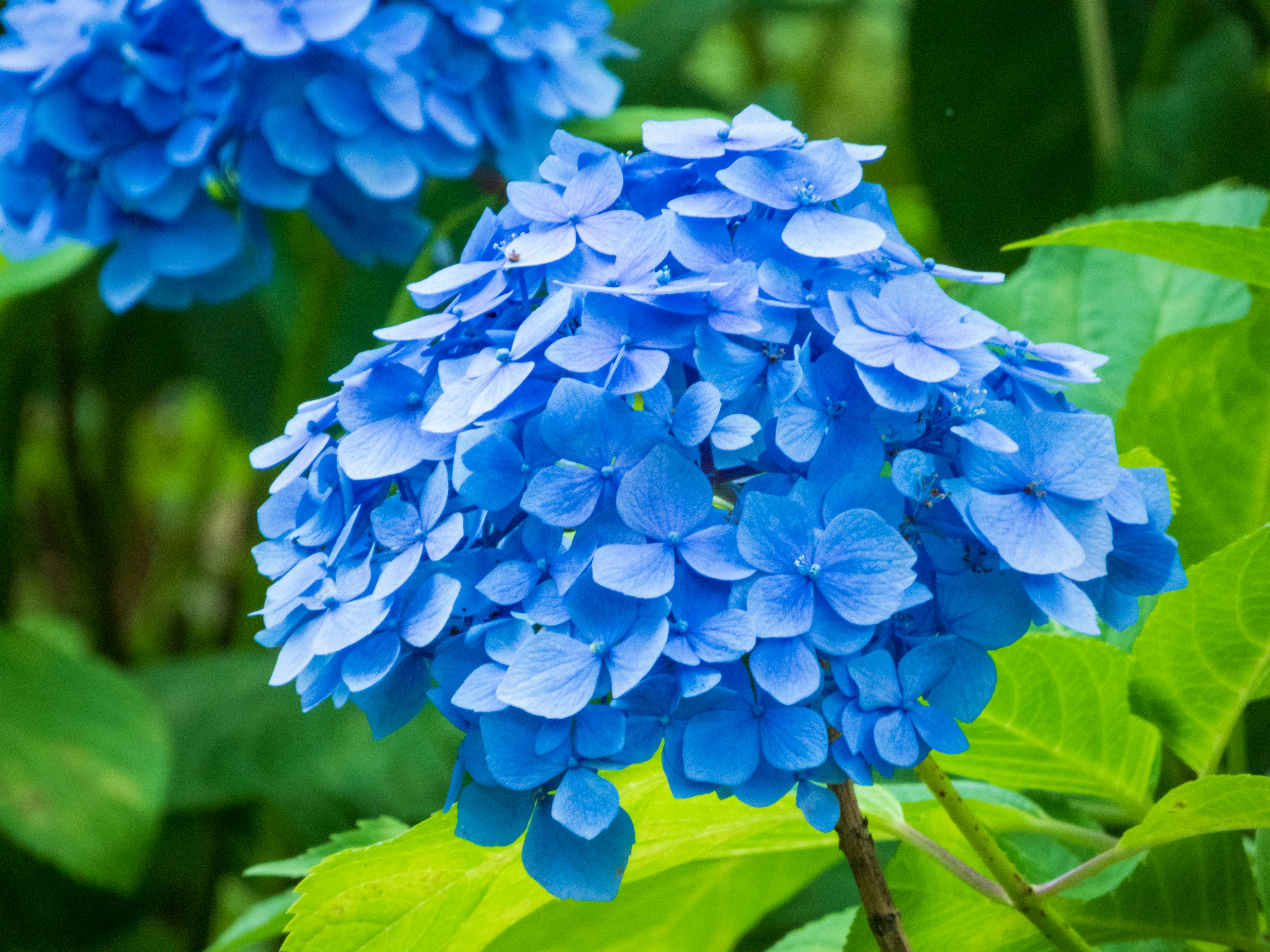 Photo by heppoko_yama