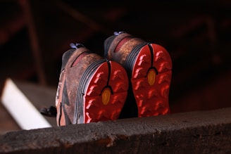 a pair of red and black shoes