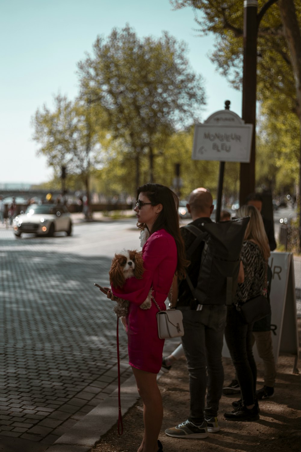 a person holding a dog