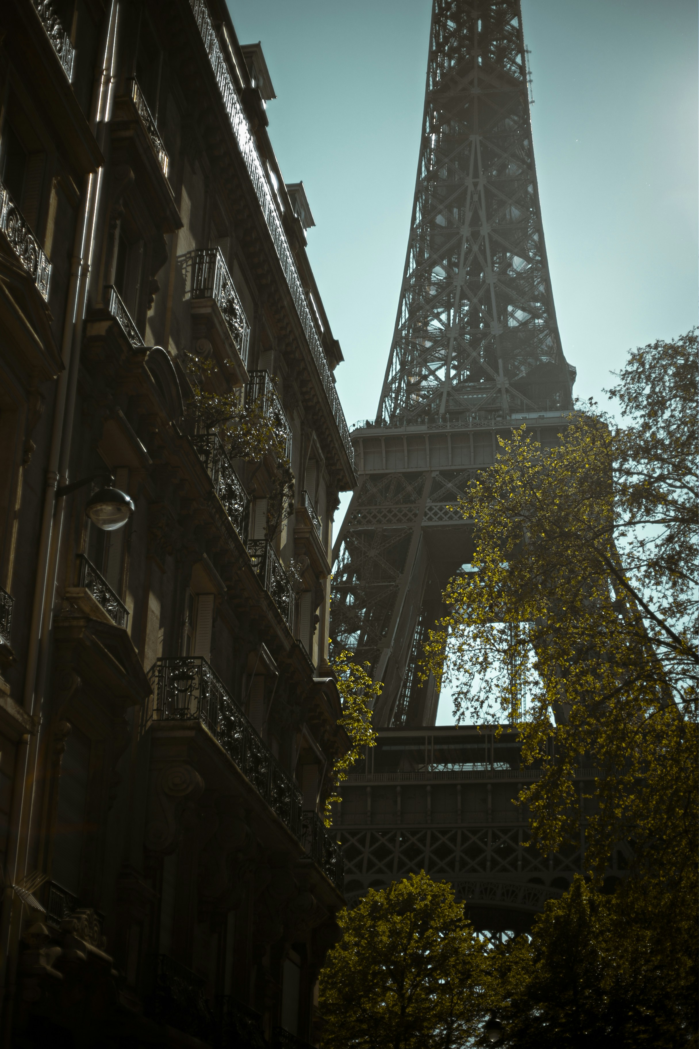 a tall building with trees in front of it