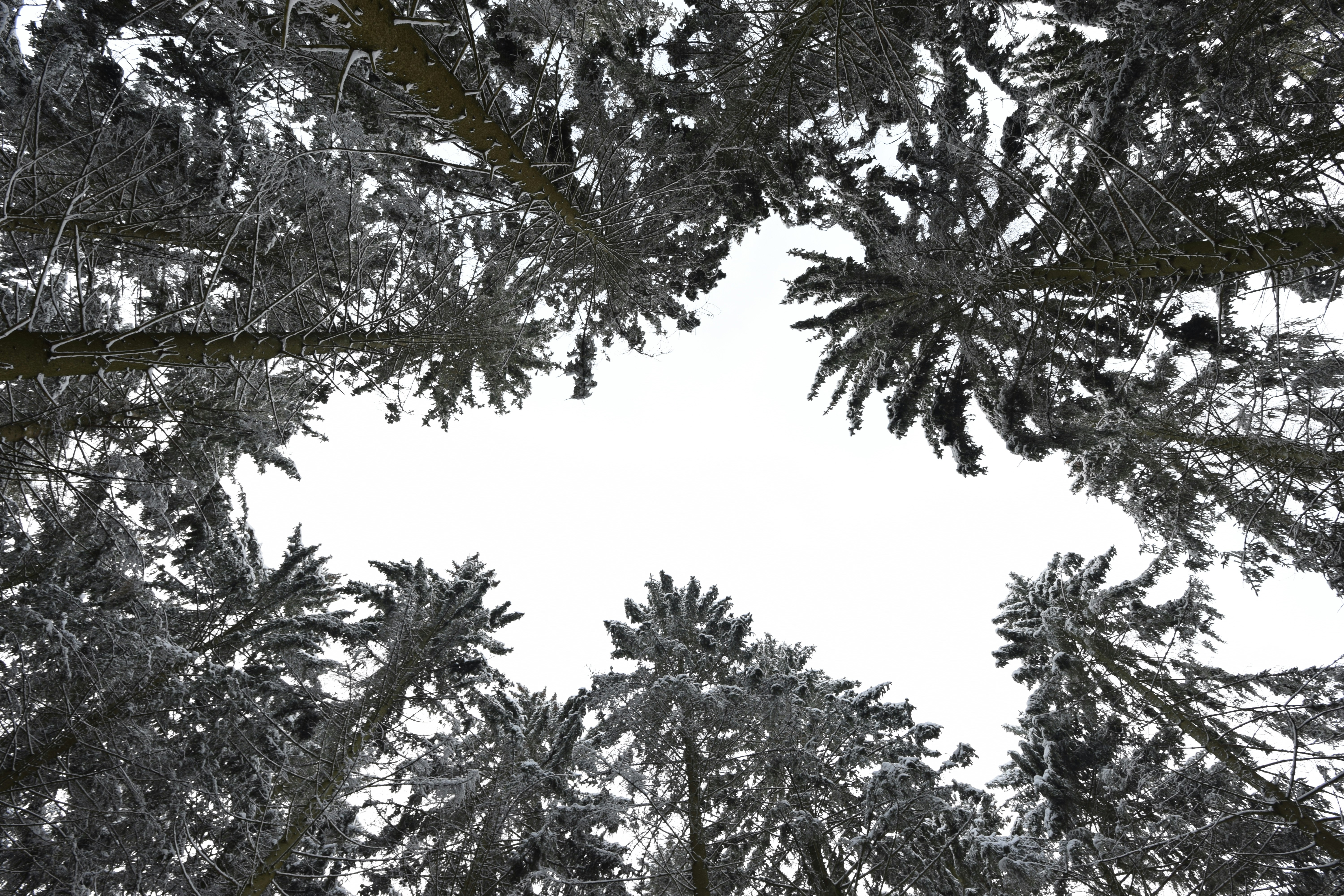 How to Handle Family While You’re in Withdrawal