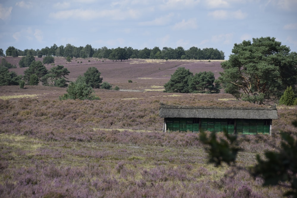 a building in a field