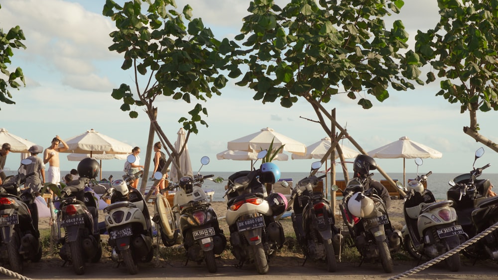 a group of motorcycles parked next to a tree