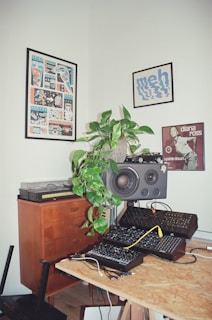 A room corner features a wooden cabinet topped with a turntable and a speaker. A large speaker with two smaller electronic devices and a yellow cable lies on a wooden desk. A leafy plant and wall art including posters and an album cover add character to the space.