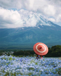 a field of flowers with a mountain in the background