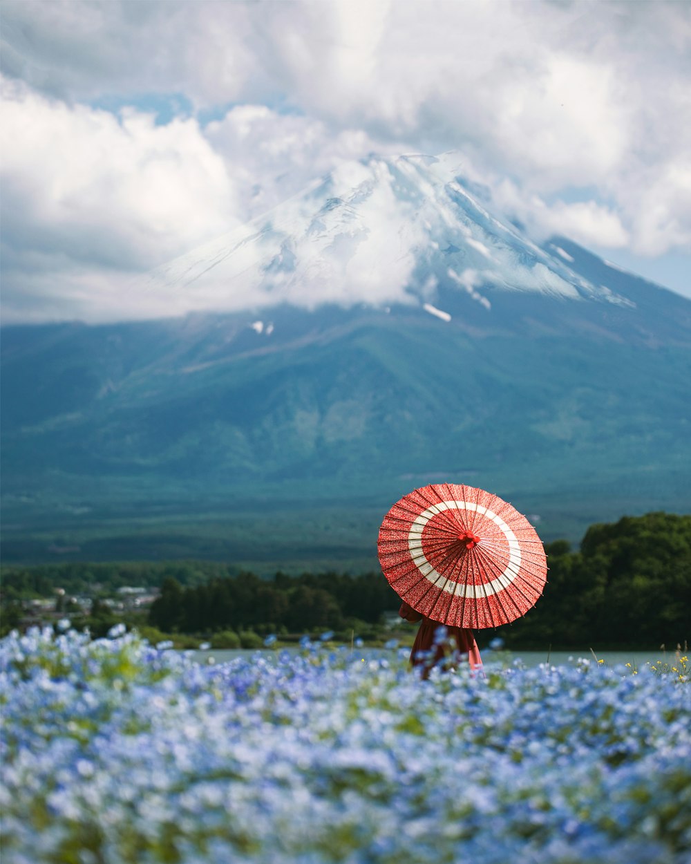 a field of flowers with a mountain in the background