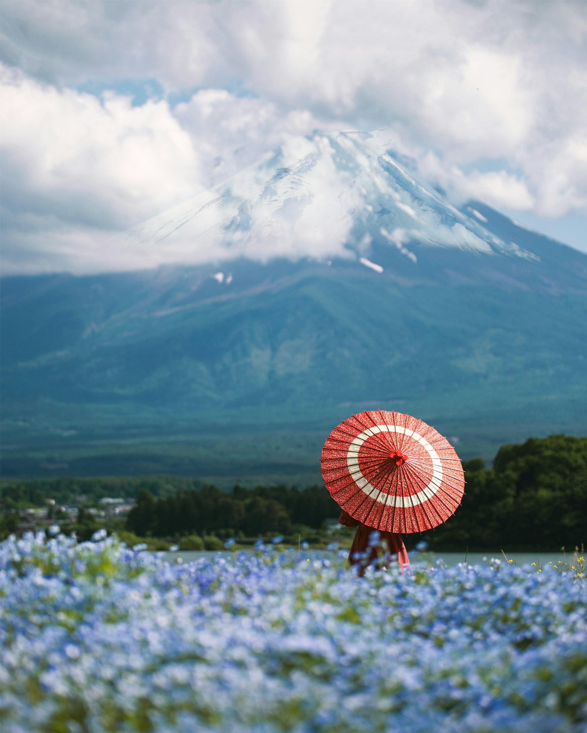a field of flowers with a mountain in the background