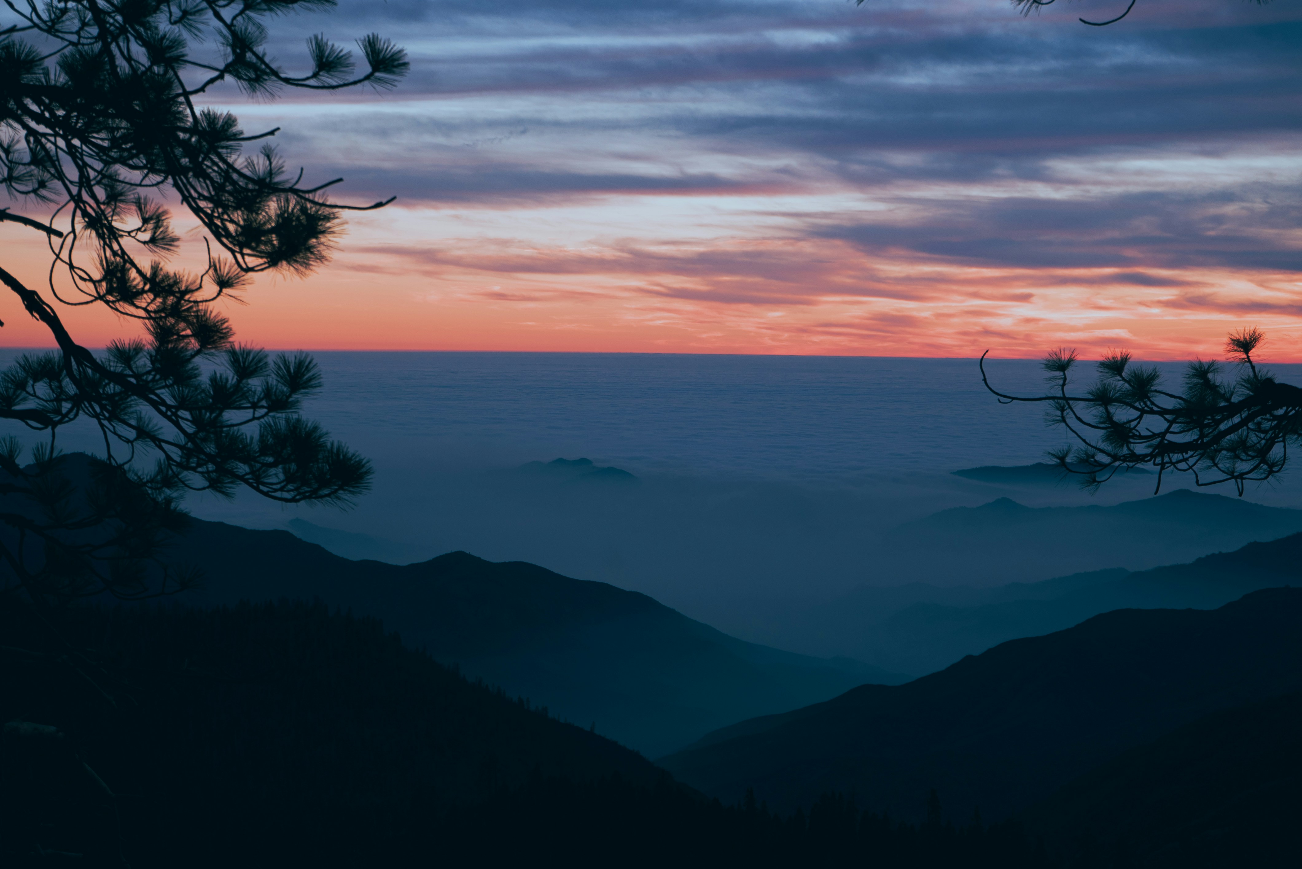 Photo by dinakartumu