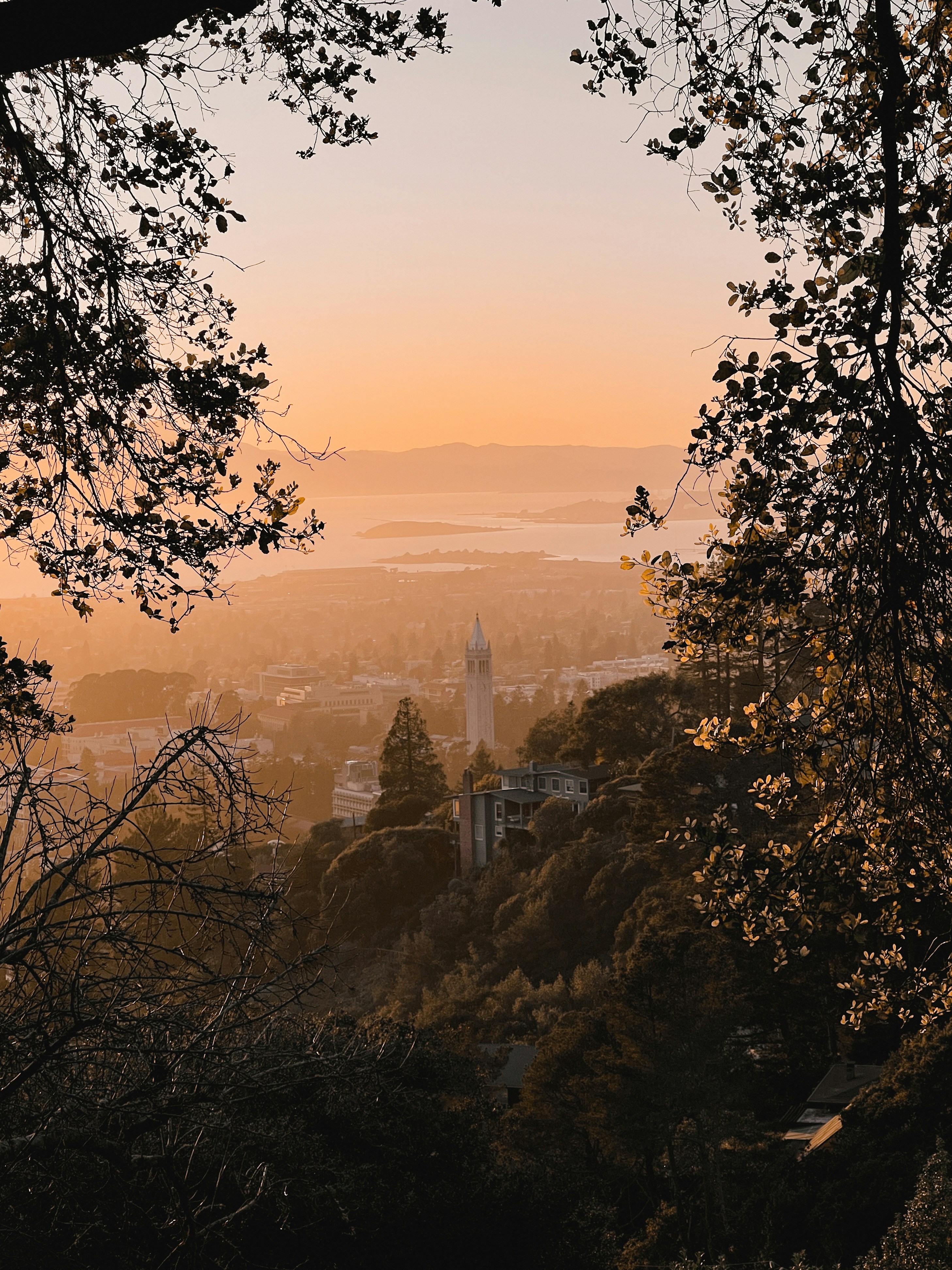 Photo by dinakartumu