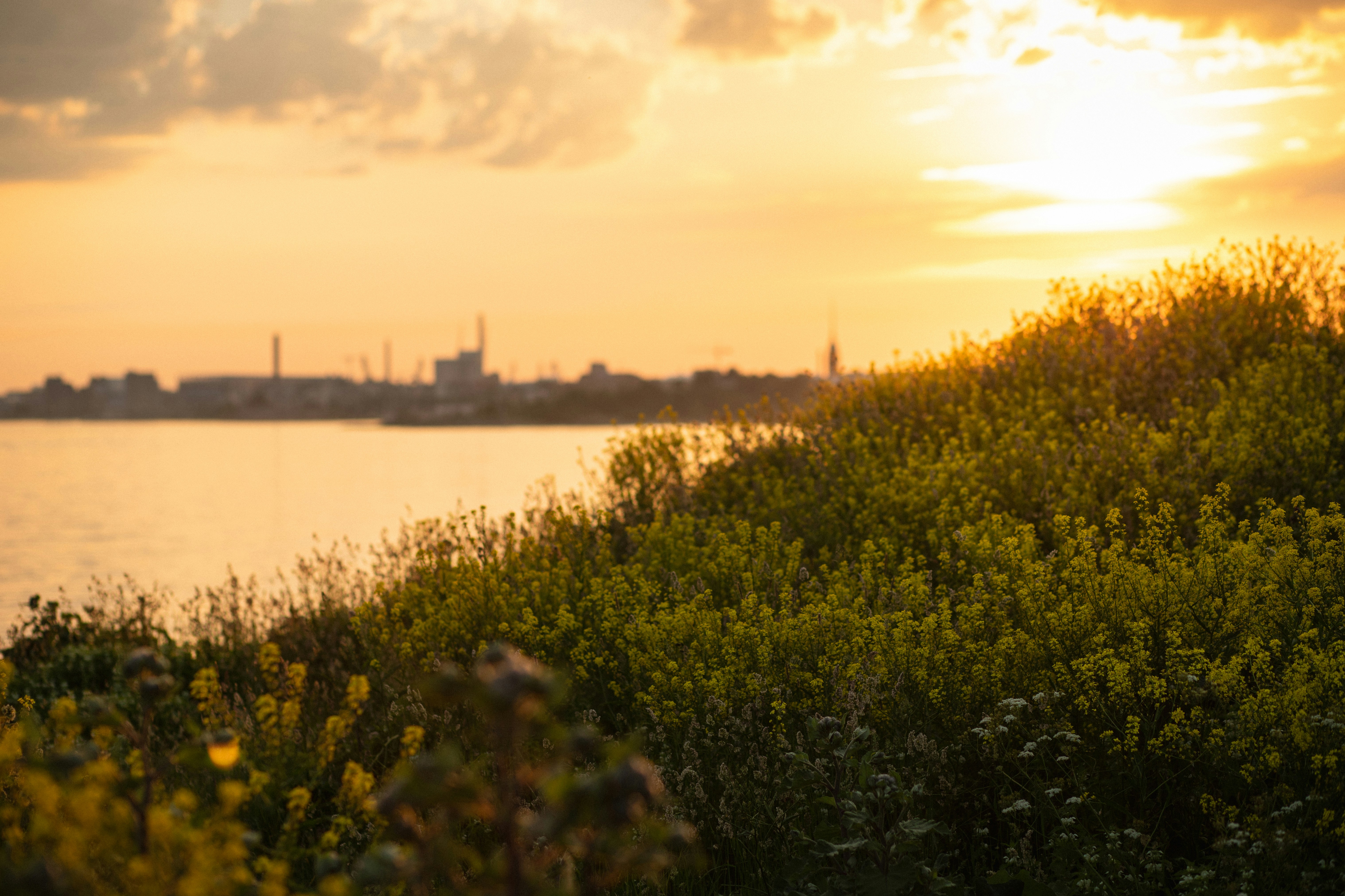 Photo by lazarevazubova