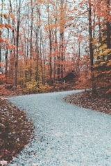 A cozy mountain village path winding through autumn trees.