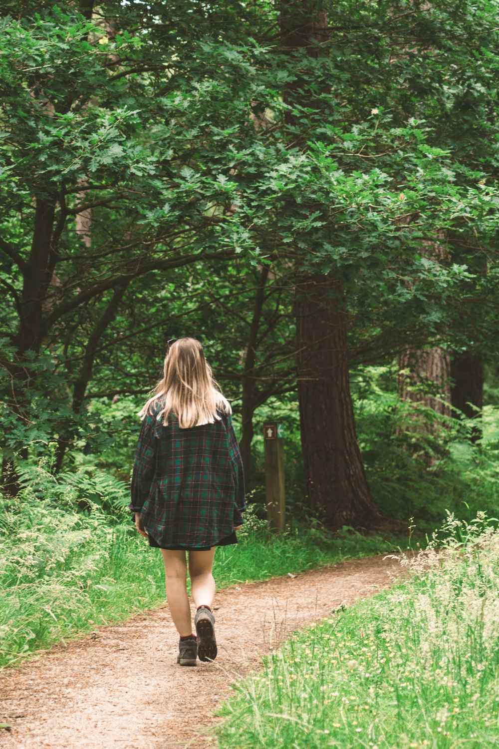 a person walking on a path in a forest