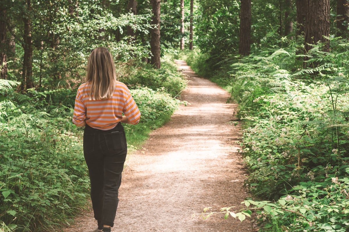 Person geht auf einem Waldweg spazieren – Bewegung als kurze Heißhunger-Unterbrechung