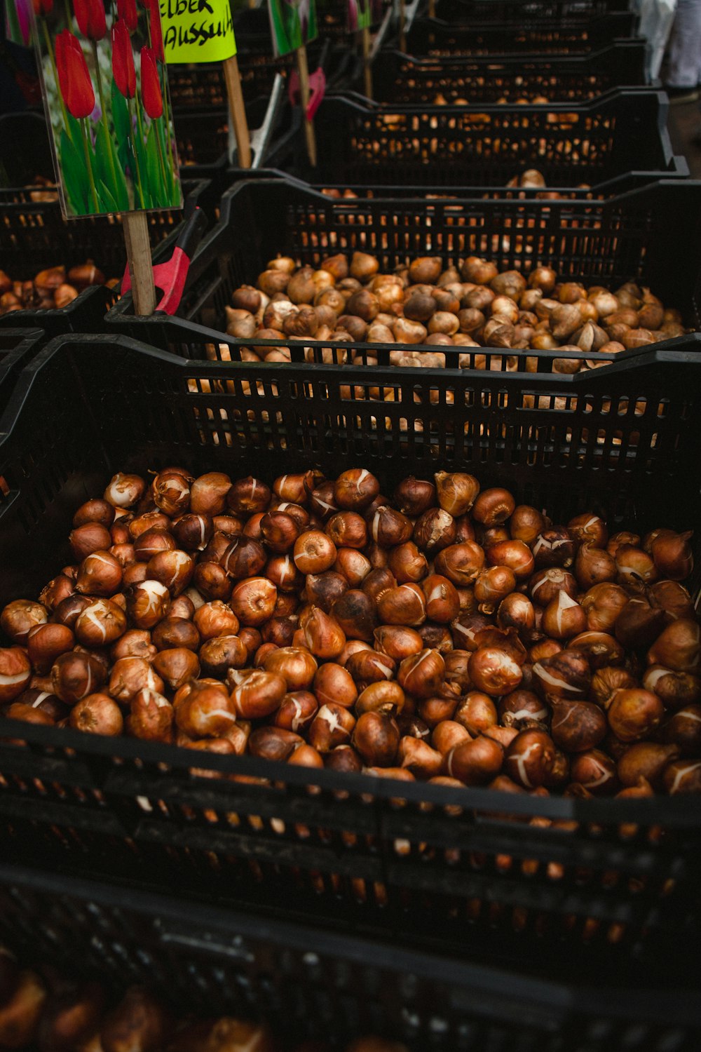 a group of baskets full of nuts