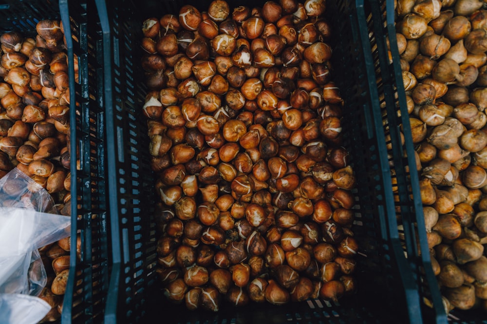 a group of brown and white nuts