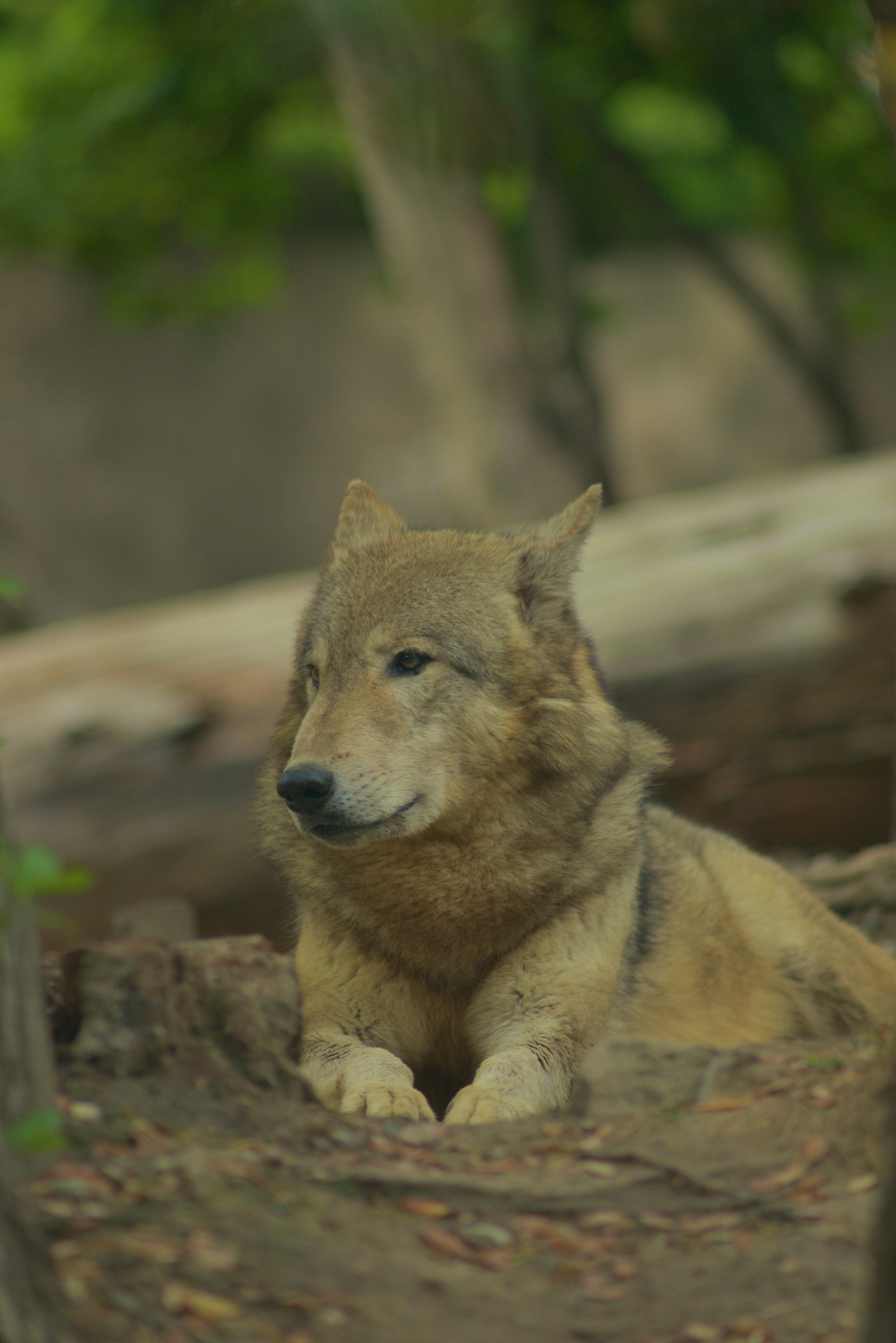 Photo by toochi_hise