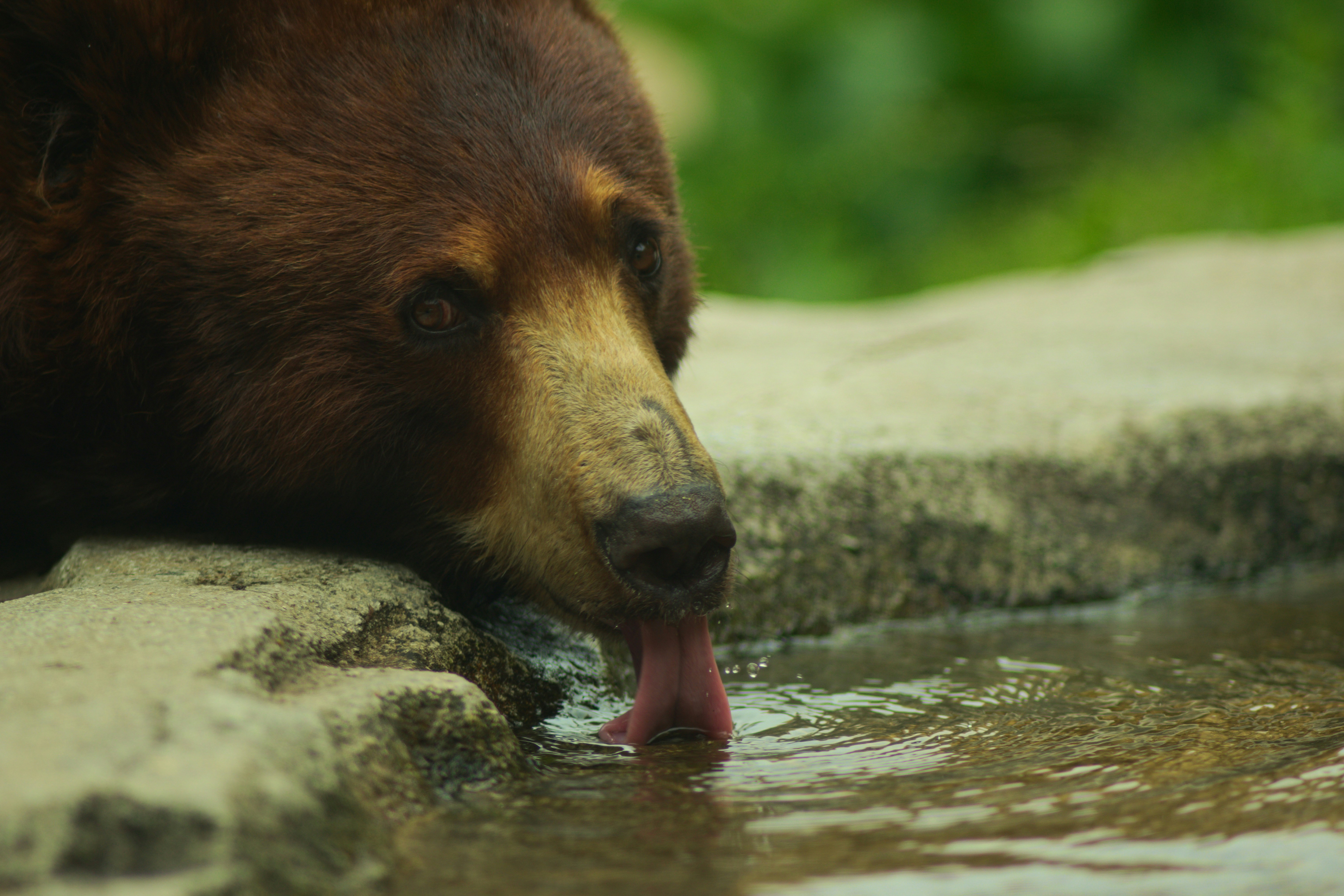 Photo by toochi_hise