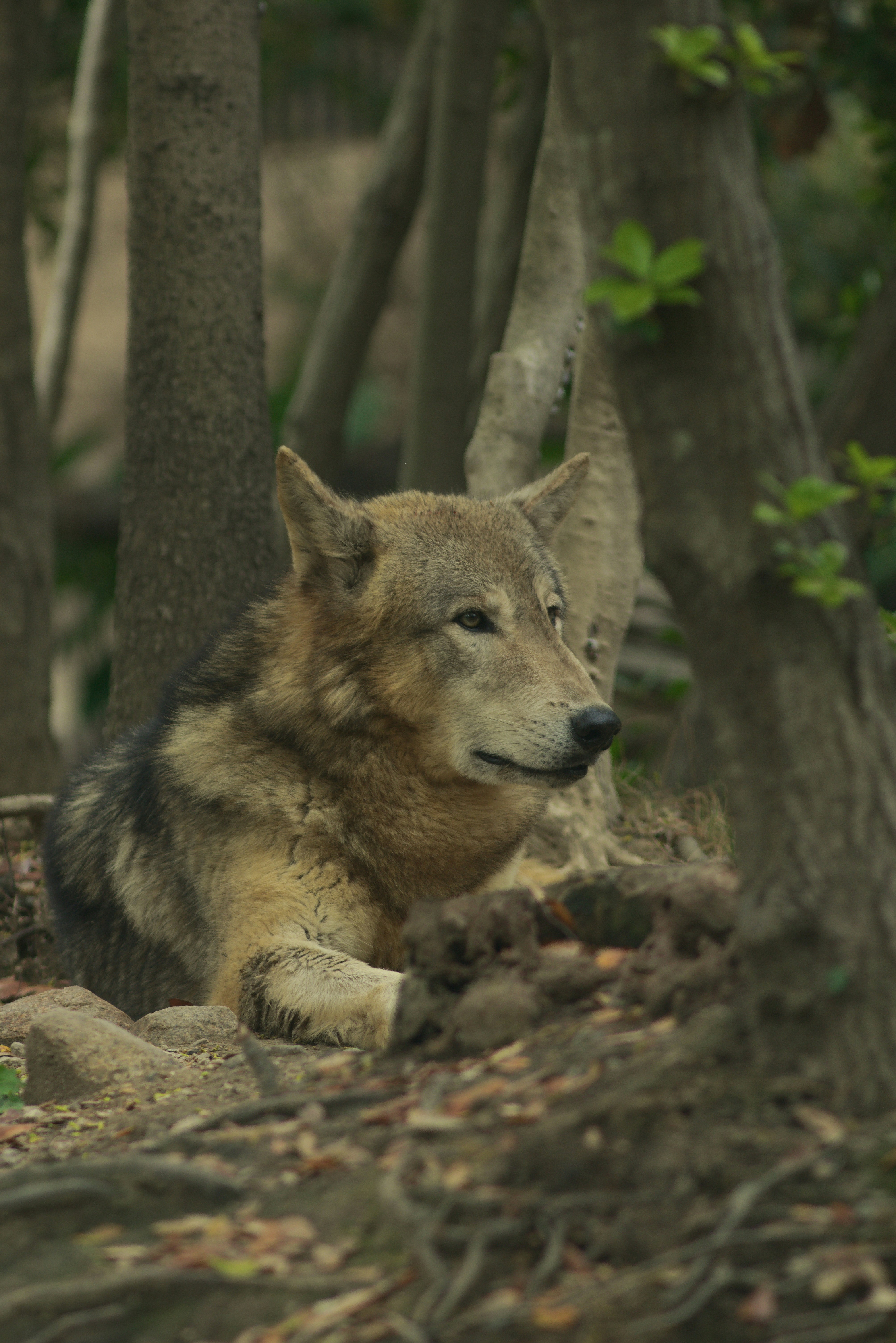 Photo by toochi_hise