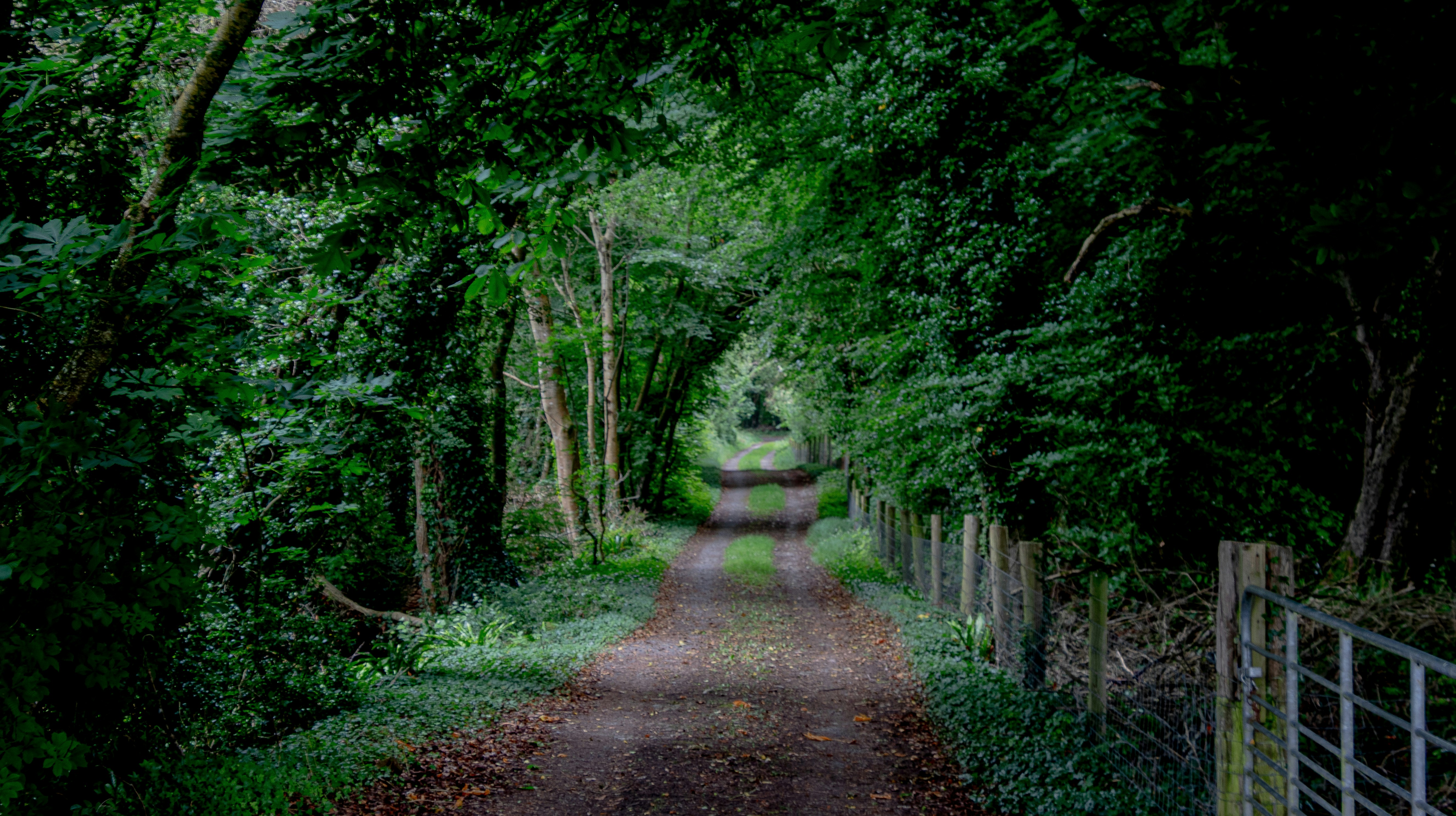 Photo by starkie_pics