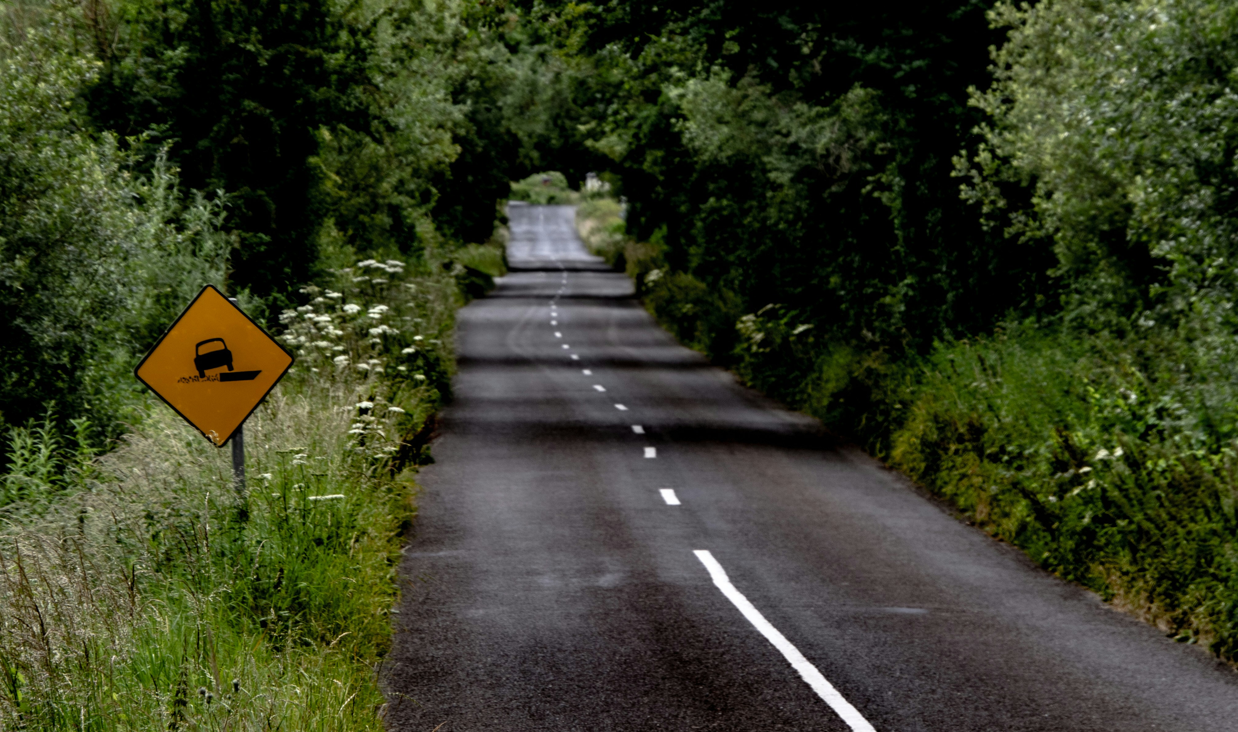 Photo by starkie_pics