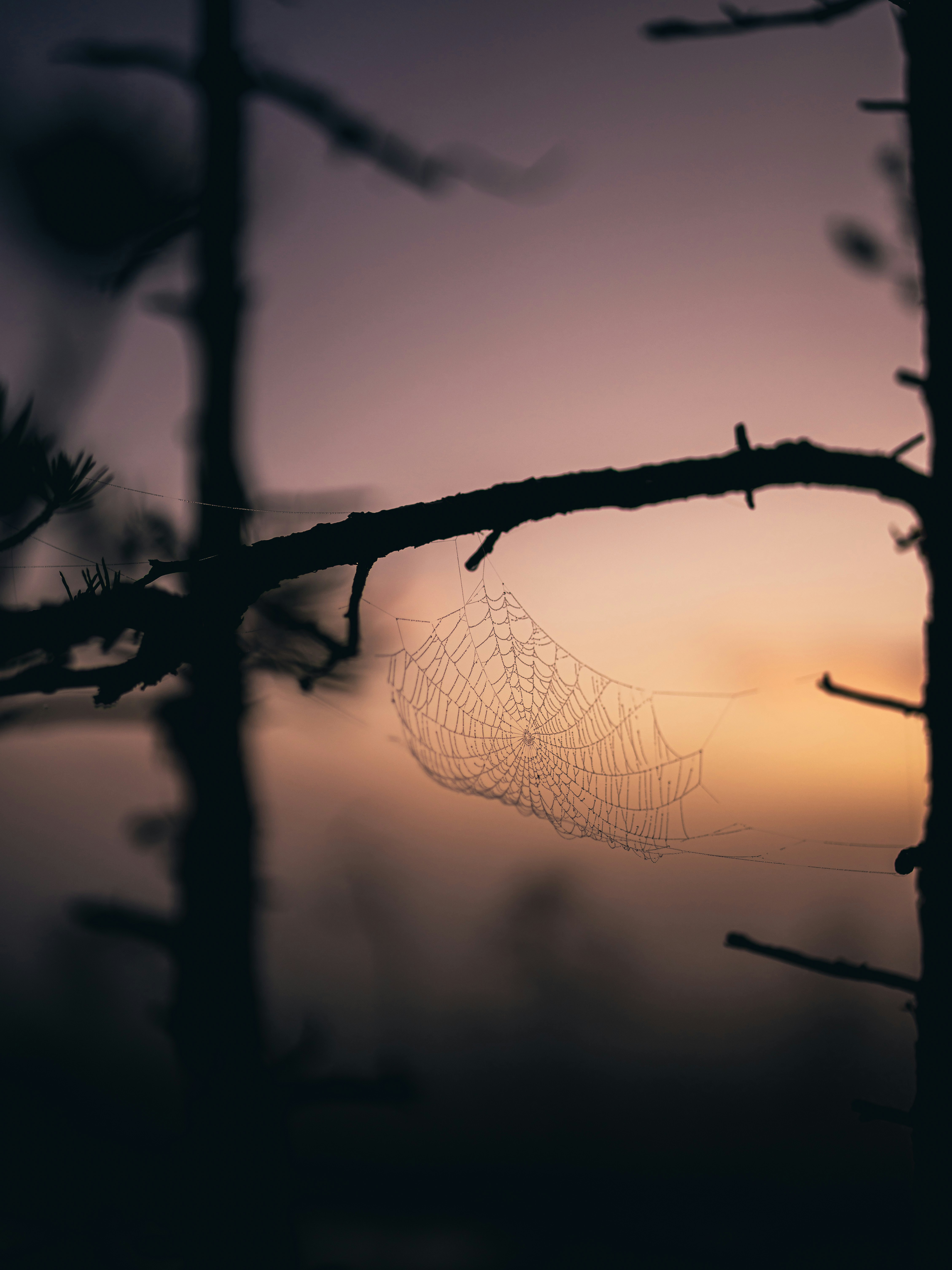 Photo by janekvaldsalu