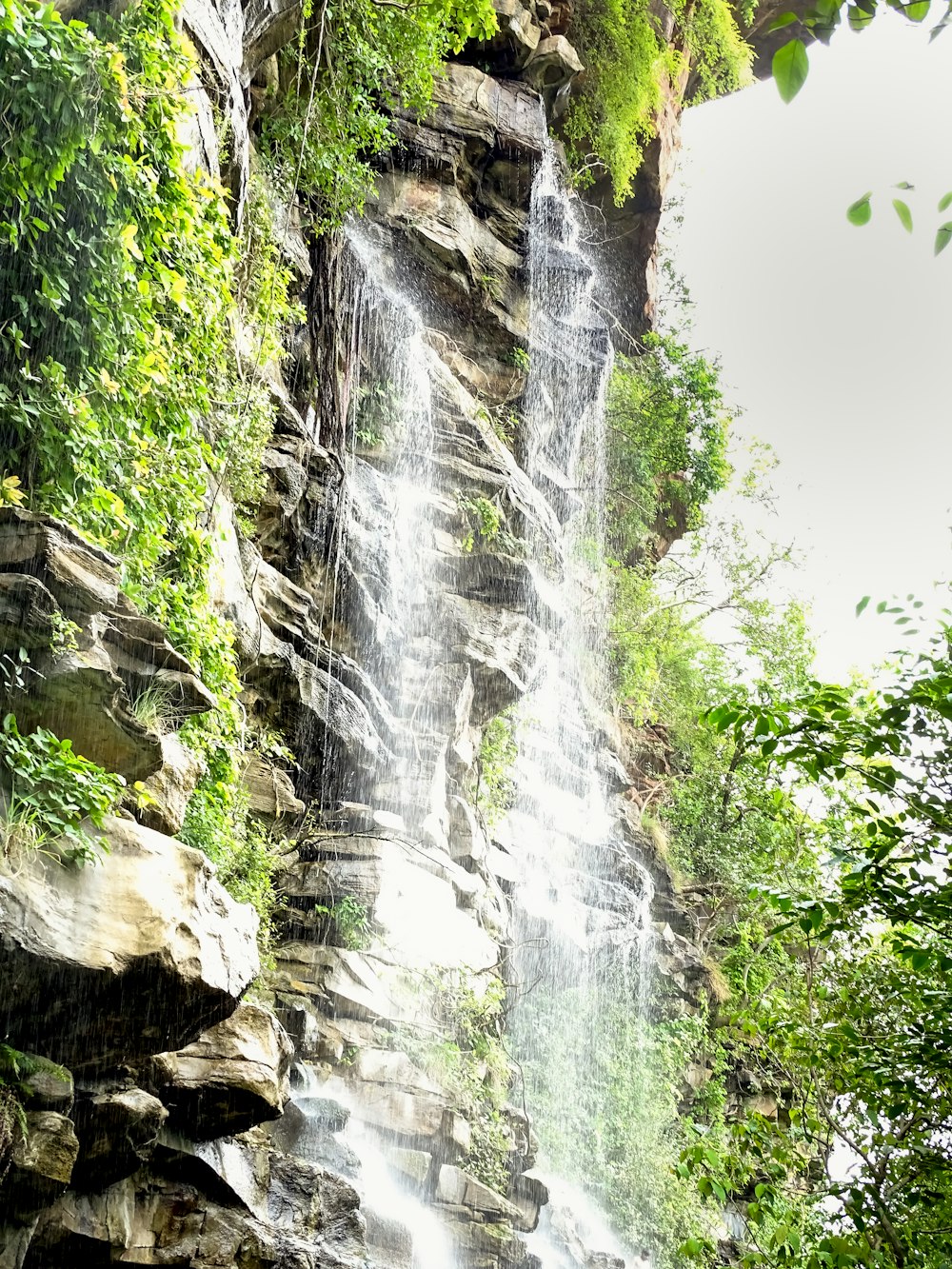 a waterfall in a forest