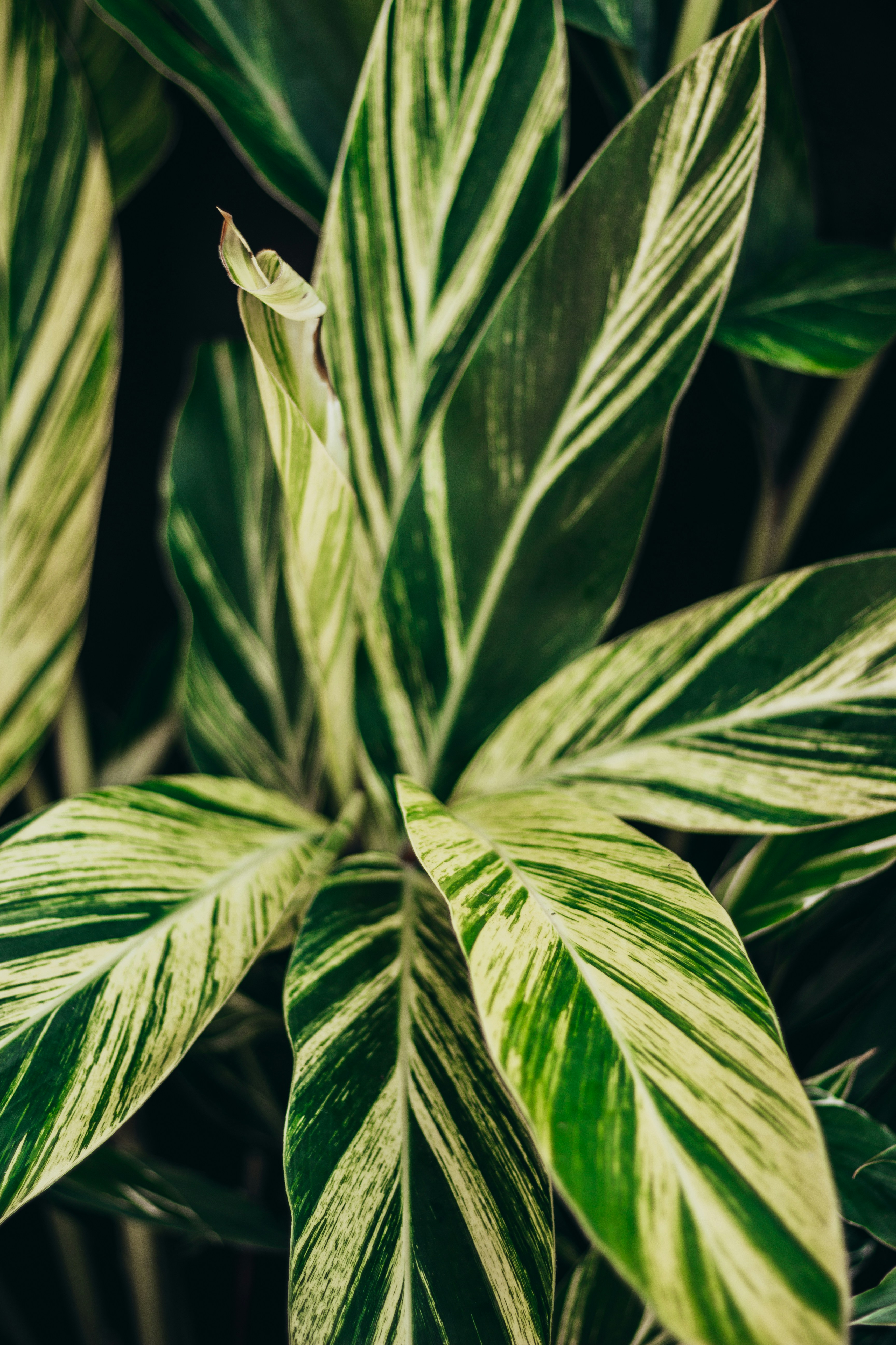 Photo by miladamasio