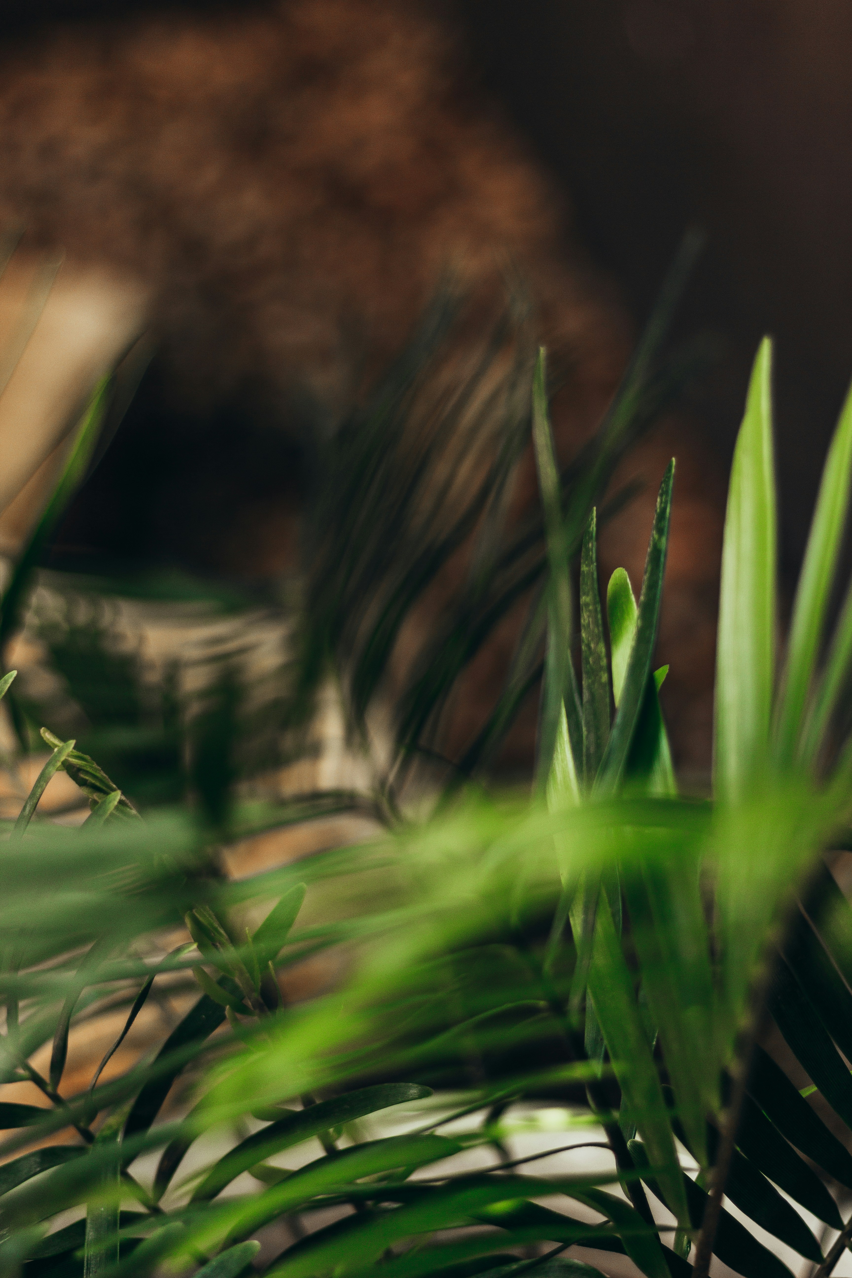 Photo by miladamasio