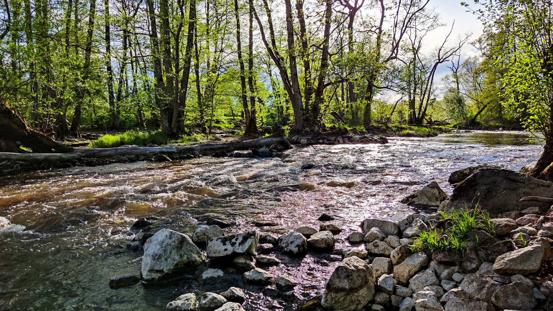 A shallow wooded river running past a bar of loose rocks