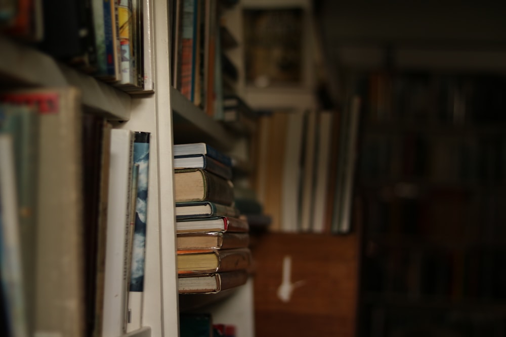 uma sala com livros nas prateleiras