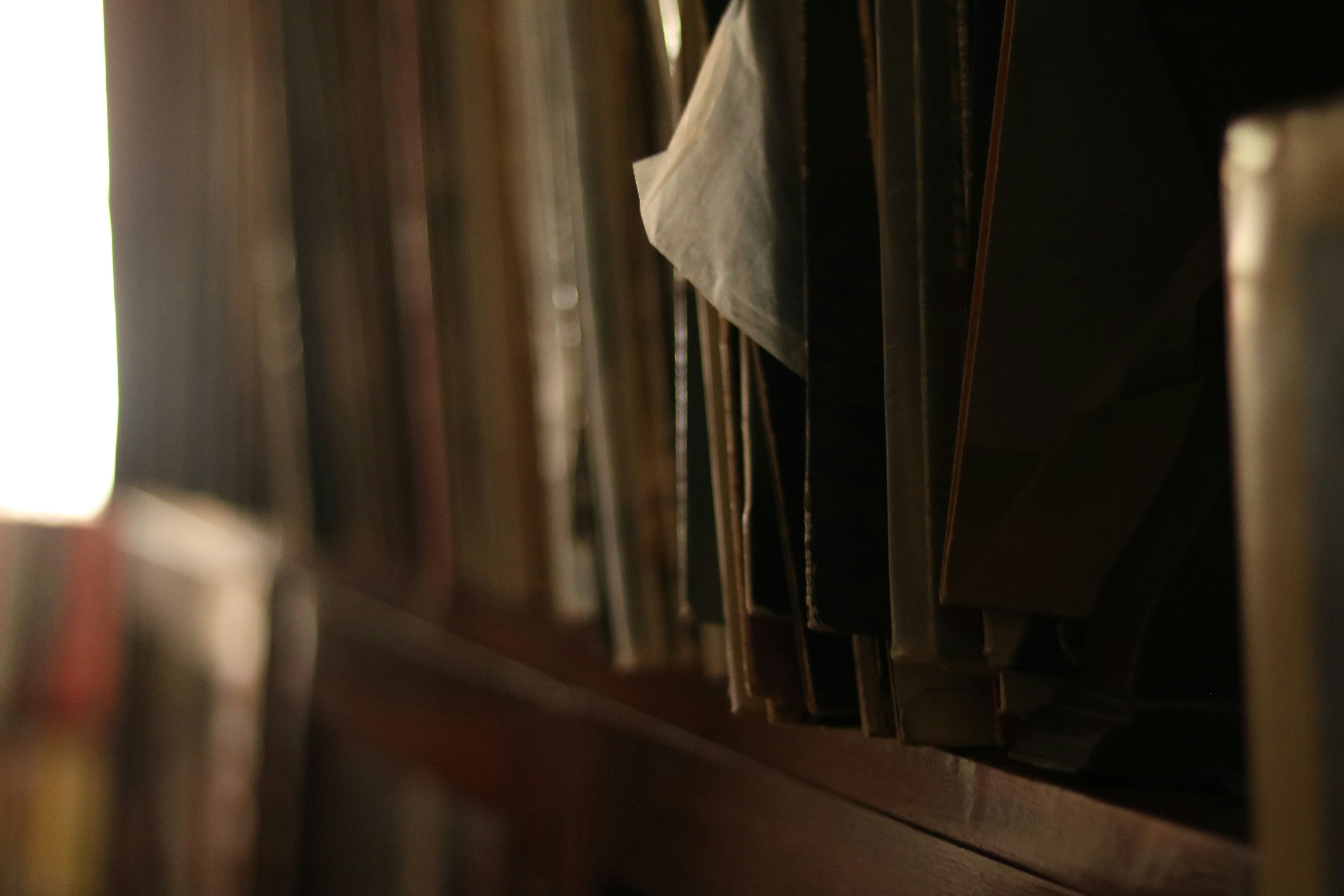 Photo by allysphotos