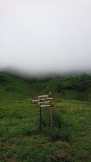A wooden signpost stands amidst a lush, green grassy landscape. The sign has text in a foreign language and is surrounded by dense vegetation. A thick layer of fog or mist shrouds the background, covering the hills and adding a mystical quality to the scene.