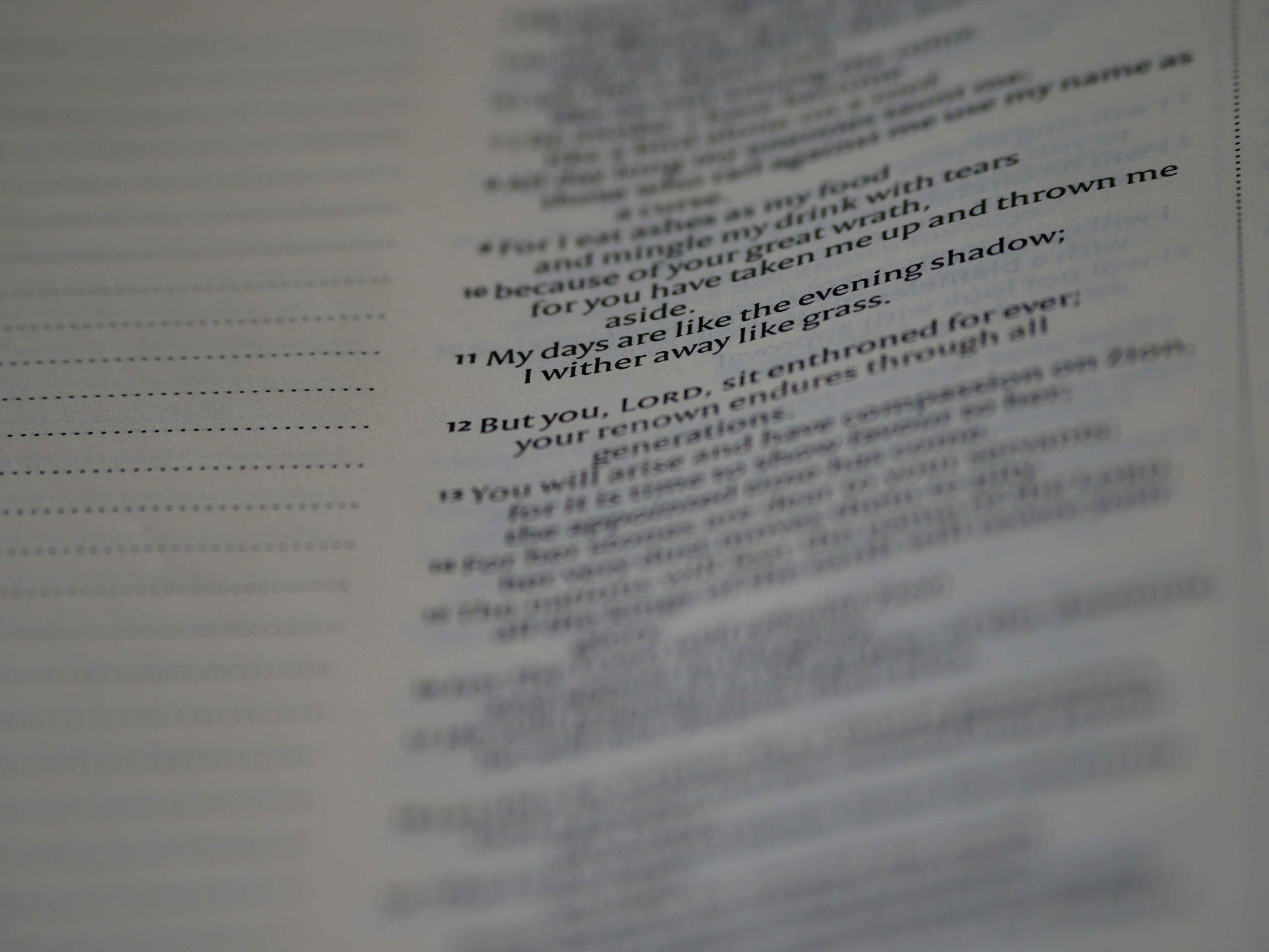 Photo by brett_jordan