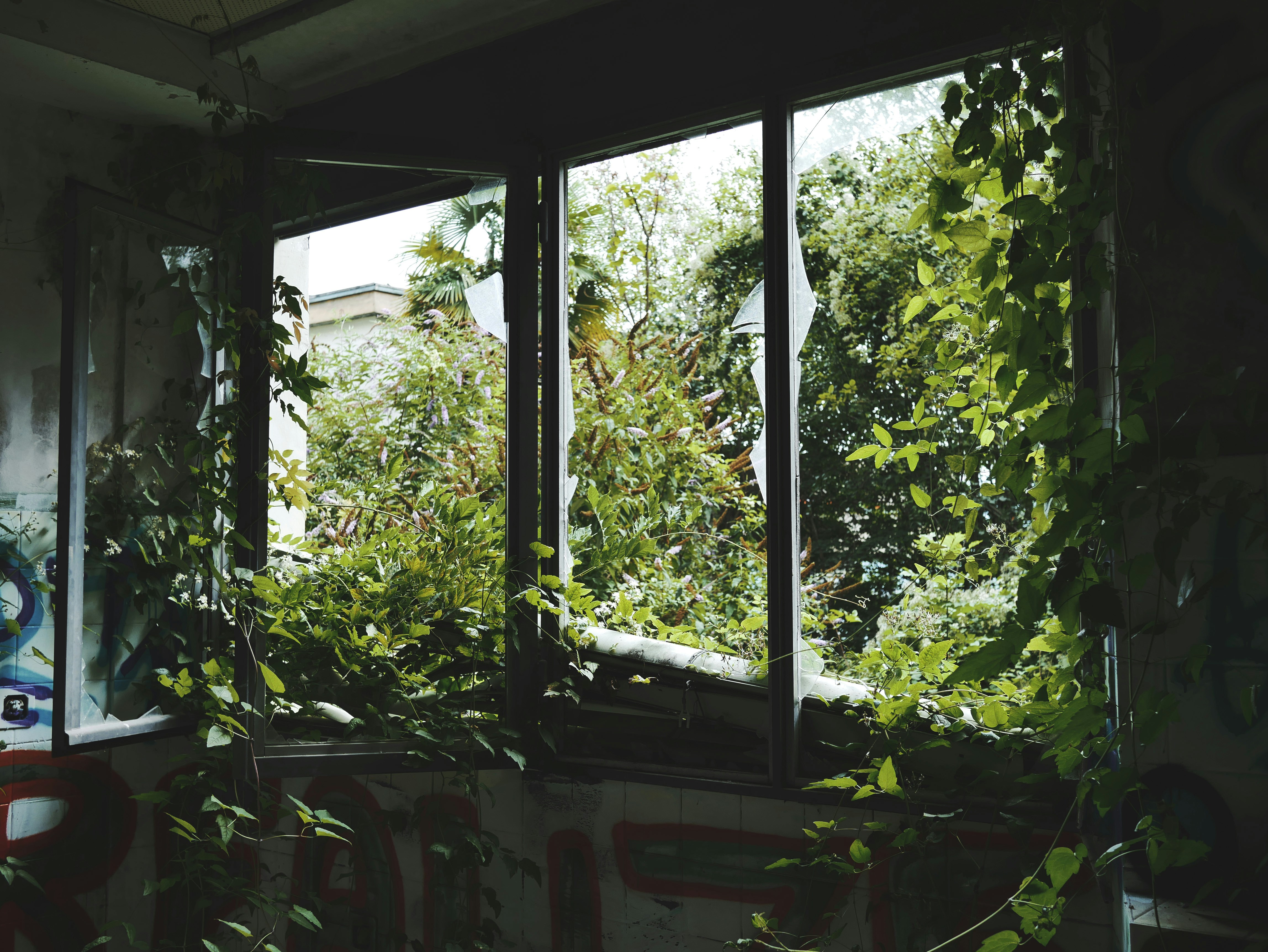 Photo by itsaistebeach